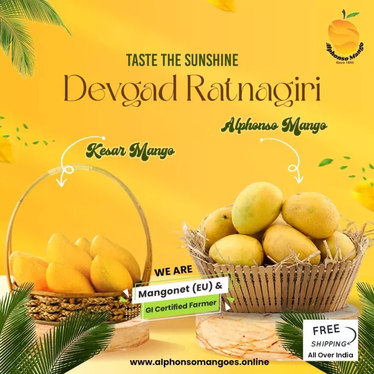 Buy Alphonso Mango Online in India