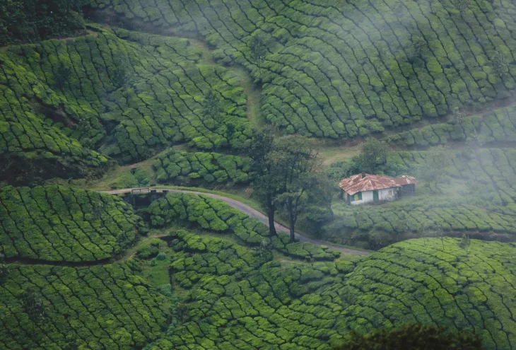 Best Spots To Watch In Goa Kerala Trip To Create Best Unforgettable Memories