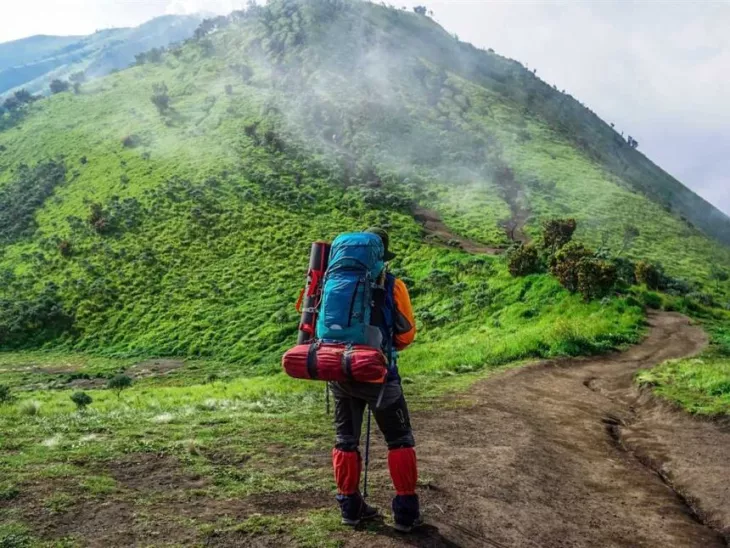 Shimla And Manali: Explore A Himalayan Dream Escape From Delhi