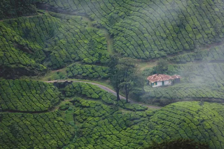 What To Do In Kerala Winter Vacations: A Perfect Travel Guide