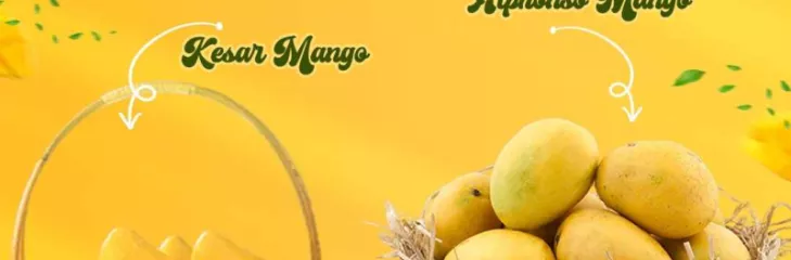 Buy Alphonso Mango Online in India