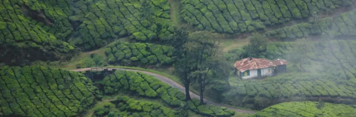 Best Spots To Watch In Goa Kerala Trip To Create Best Unforgettable Memories