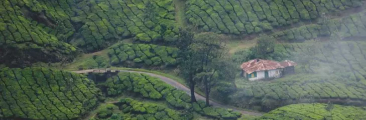 A Kerala Vacation Guide To Enjoy Diverse Experiences