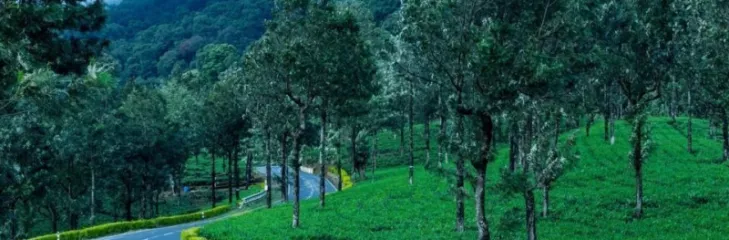 resorts in coorg