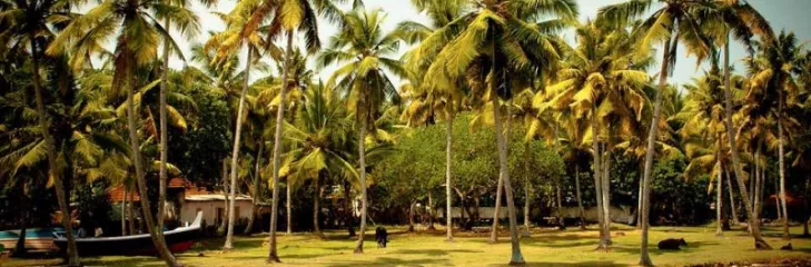 Best Tour Packages For Kerala Explorers To Enjoy A Memorable Time