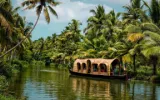Discovering The Allure Of Tea Gardens And Explore Hills Stations Of Kerala