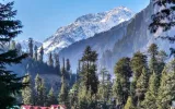 Adventure In Himachal: Exploring Shimla And Manali In 6 Days