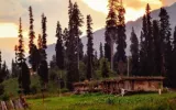 Plan Your Trip To Kashmir From Kerala With A Perfect Travel Itinerary to Experience The Purest Natural Beauty