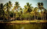 Best Tour Packages For Kerala Explorers To Enjoy A Memorable Time